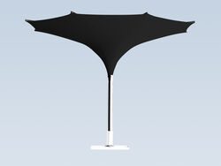 Tulip Umbrellas  